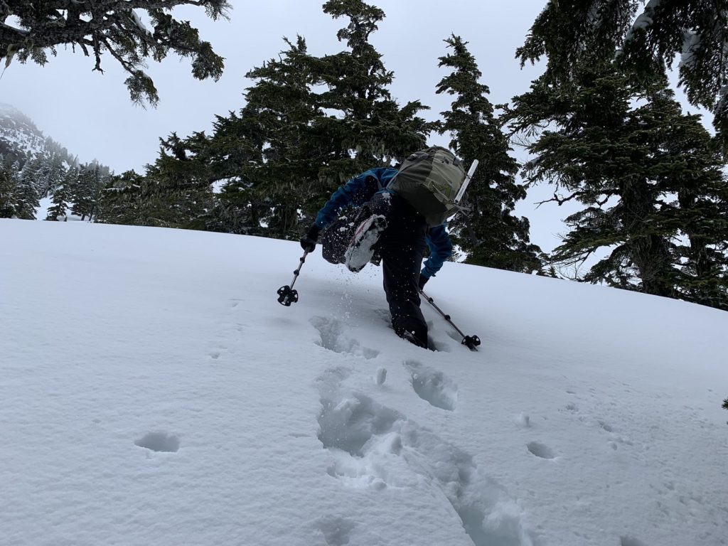 Brunswick Mountain Trail in Spring