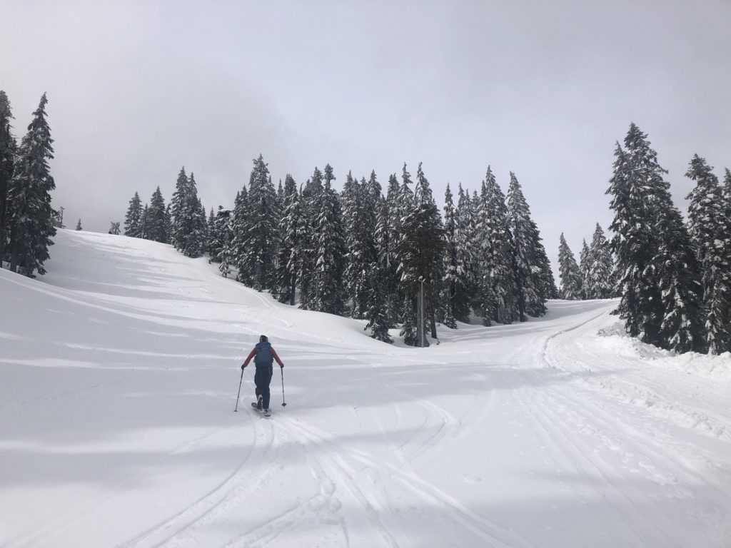 Mount Strachan Backcountry Skiing