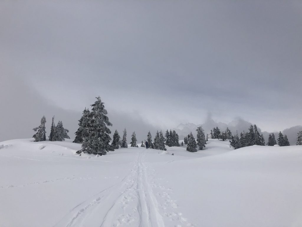Mount Strachan South Summit Backcountry Skiing