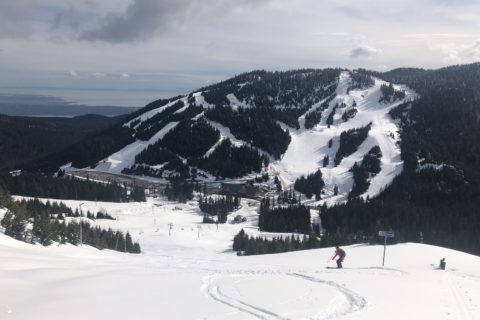 Mount Strachan South Summit Backcountry Skiing