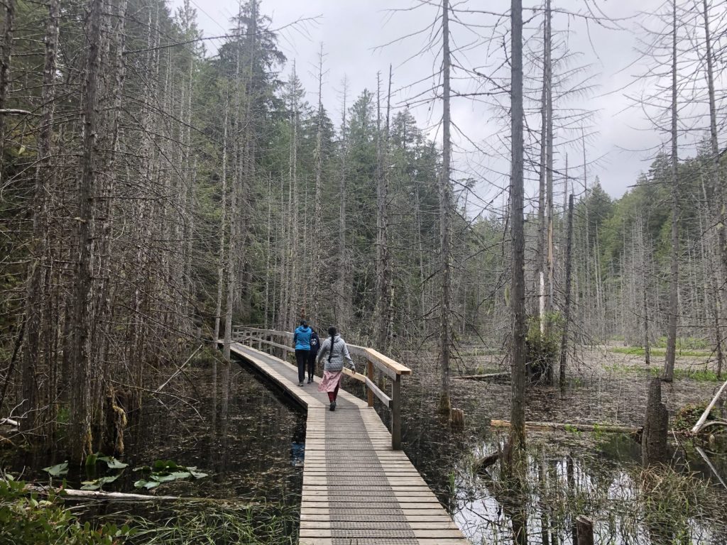 Sunshine Coast Trip - Smuggler Cove Hike