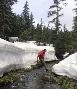 Sterling Loop Trail in Pinecone Burke Provincial Park