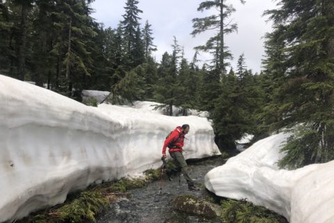 Sterling Loop Trail in Pinecone Burke Provincial Park