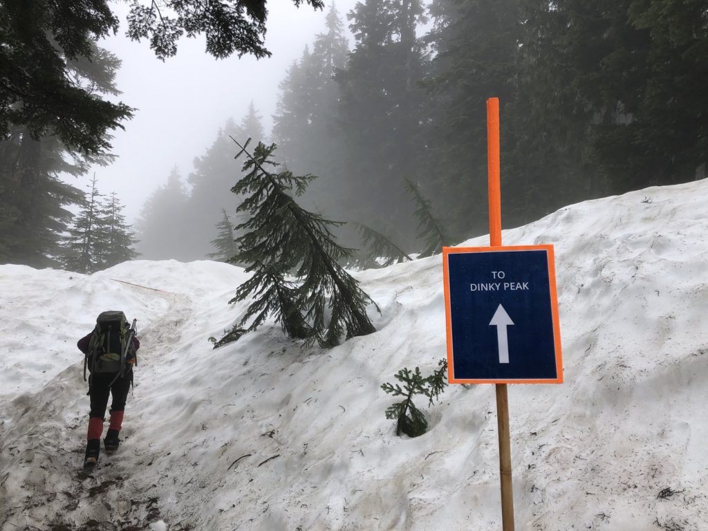 Crevasse Rescue Practice on Mount Seymour