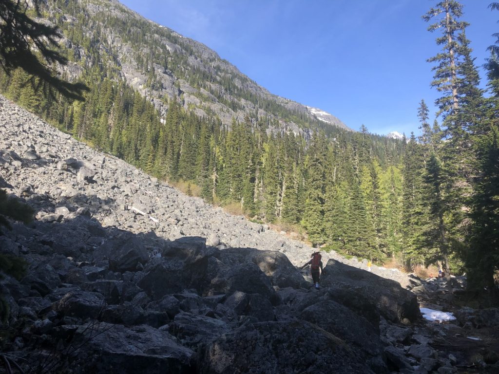 Wedgemount Lake Trail