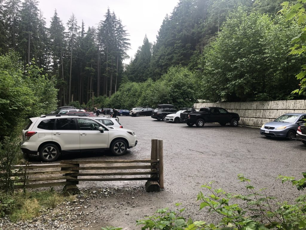 Big Cedar and Kennedy Falls Hike in Lynn Headwaters Regional Park