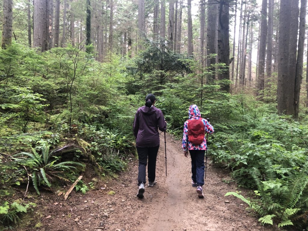 Big Cedar and Kennedy Falls Hike in Lynn Headwaters Regional Park