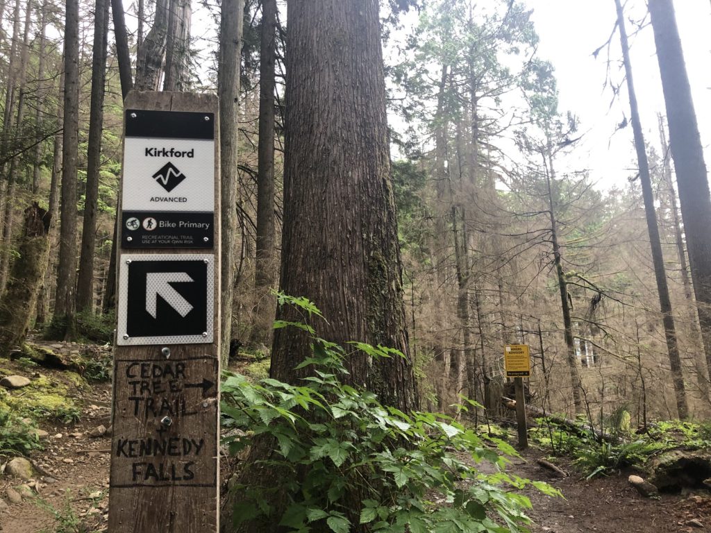 Big Cedar and Kennedy Falls Hike in Lynn Headwaters Regional Park