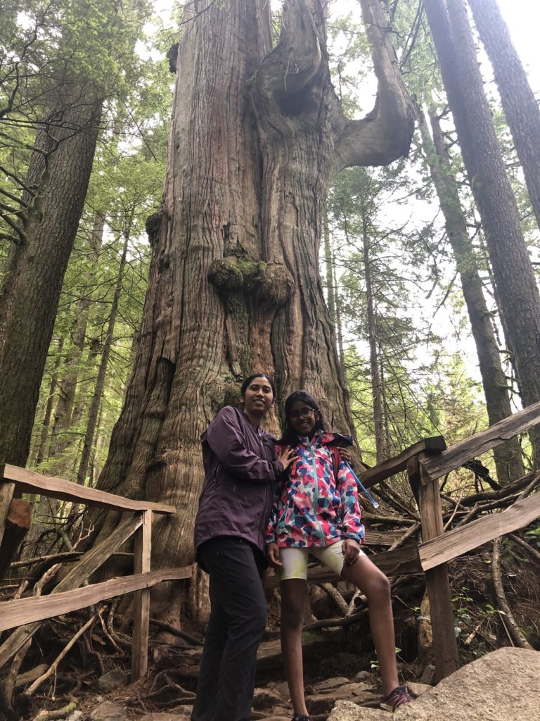 Big Cedar and Kennedy Falls Hike in Lynn Headwaters Regional Park