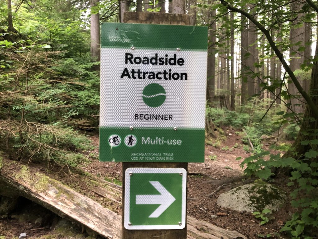 Big Cedar and Kennedy Falls Hike in Lynn Headwaters Regional Park