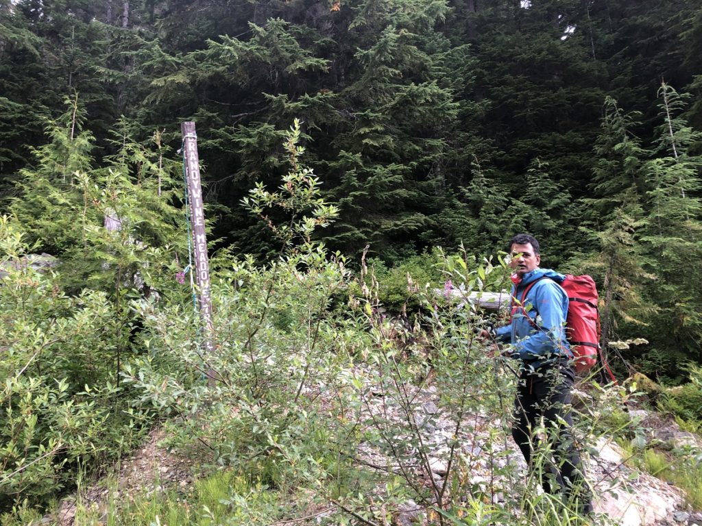 Brandywine Meadows Trail