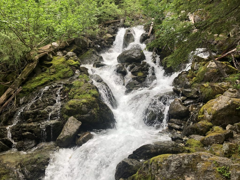 Brandywine Meadows Trail