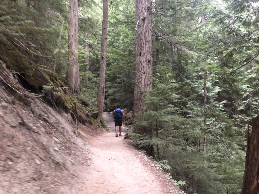 Garibaldi Lake Trail - Panorama Ridge Hike