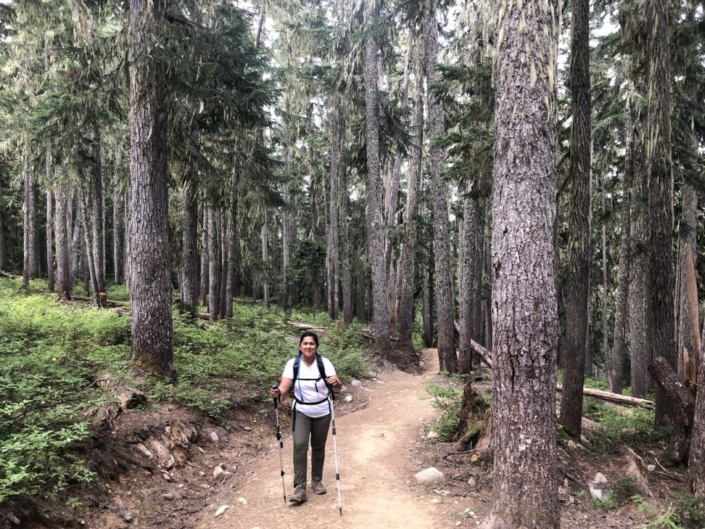 Panorama Ridge Hike - Taylor Meadows Trail