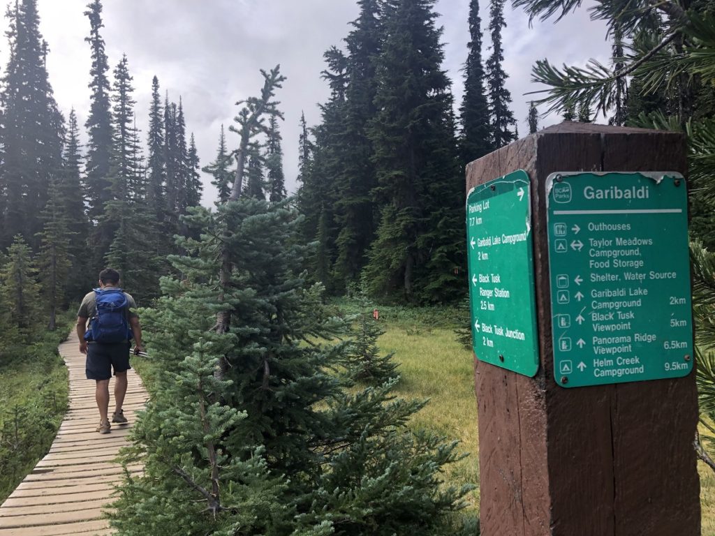 Panorama Ridge Hike - Taylor Meadows Trail