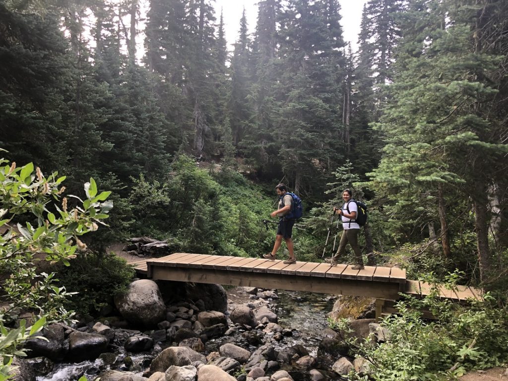 Panorama Ridge Hike - Taylor Meadows Trail