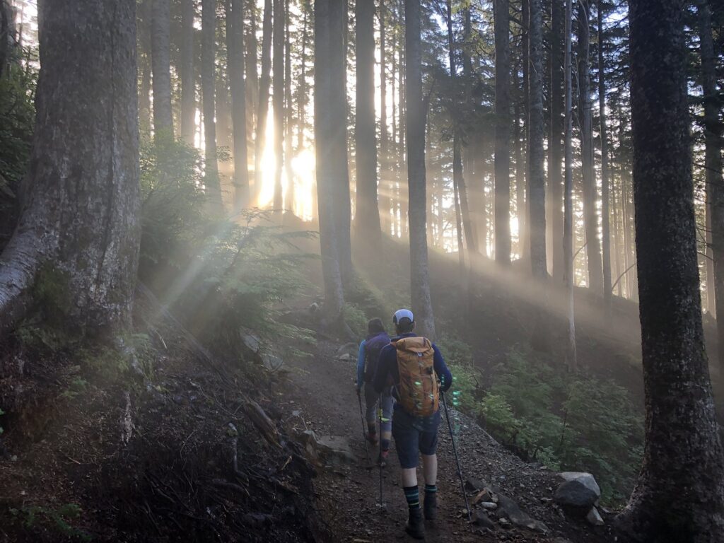 Trail to St. Mark's Summit