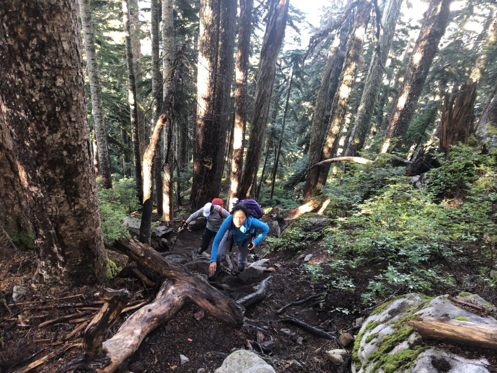 Hike to Unnecessary Mountain South Peak