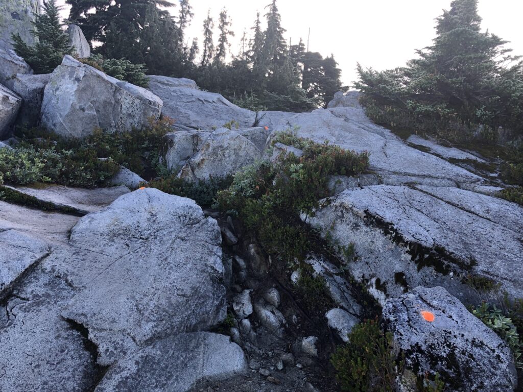 Unnecessary Mountain Howe Sound Crest Trail