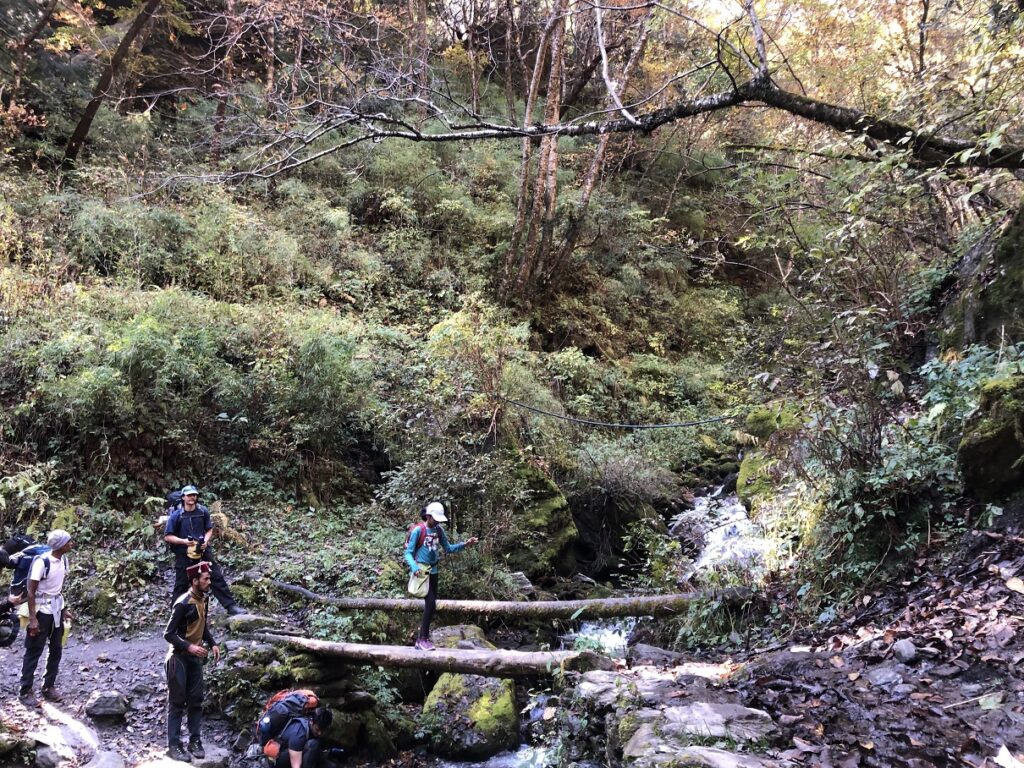 Gidara Bugyal Trek - Bhangeli to Rikoda