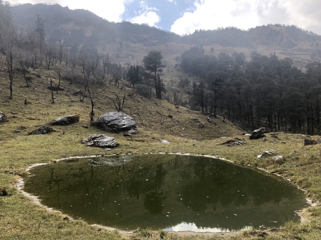 Gidara Bugyal Trek - Bhangeli to Rikoda