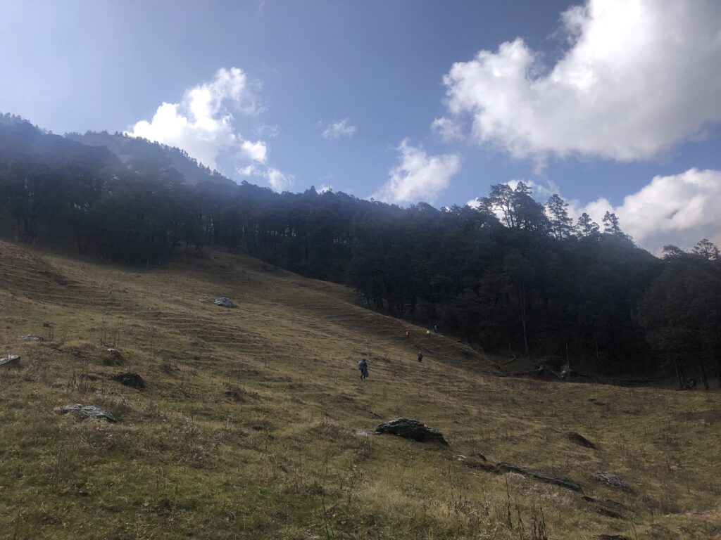 Gidara Bugyal Trek - Bhangeli to Rikoda