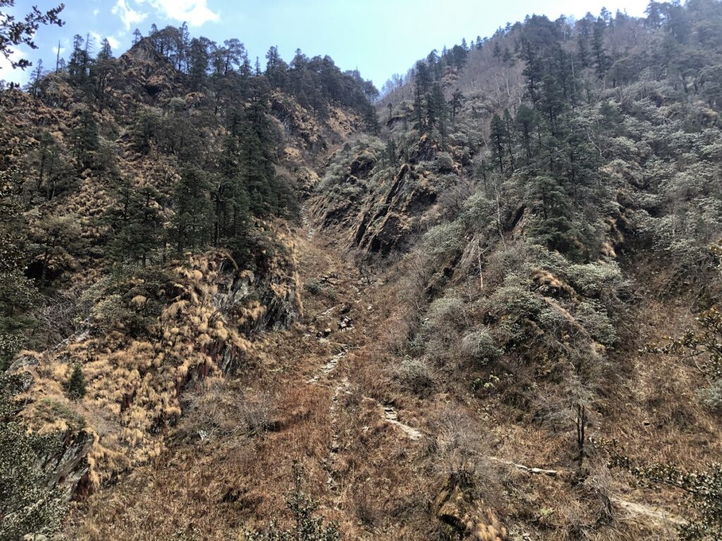 Gidara Bugyal Trek - Rikoda to Dhokrani