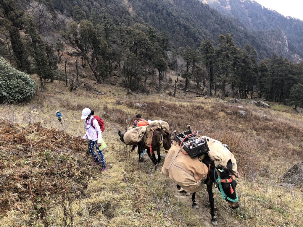 Gidara Bugyal Trek - Rikoda to Dhokrani - Thiriya campsite