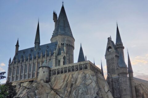 The Wizarding World of Harry Potter