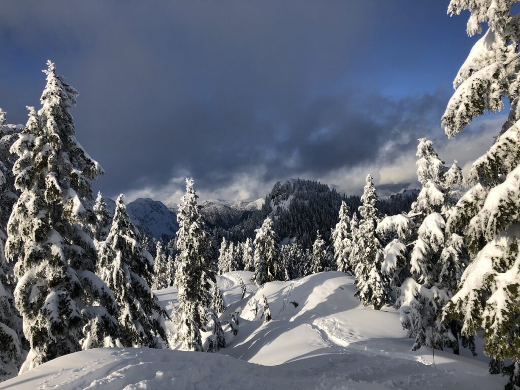 Grouse Mountain Snowshoe Grind