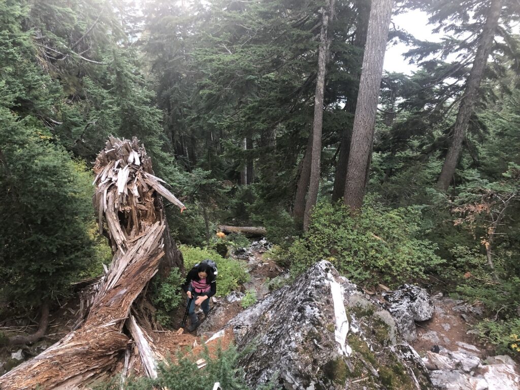 Mount Elsay Loop Trail