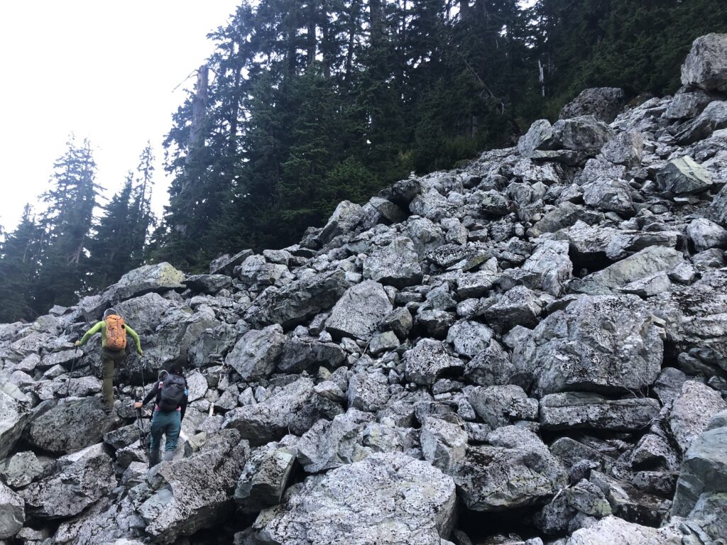 Mount Elsay Loop Trail