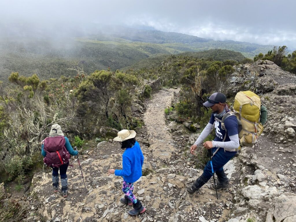 Millennium Camp to Mweka Hut