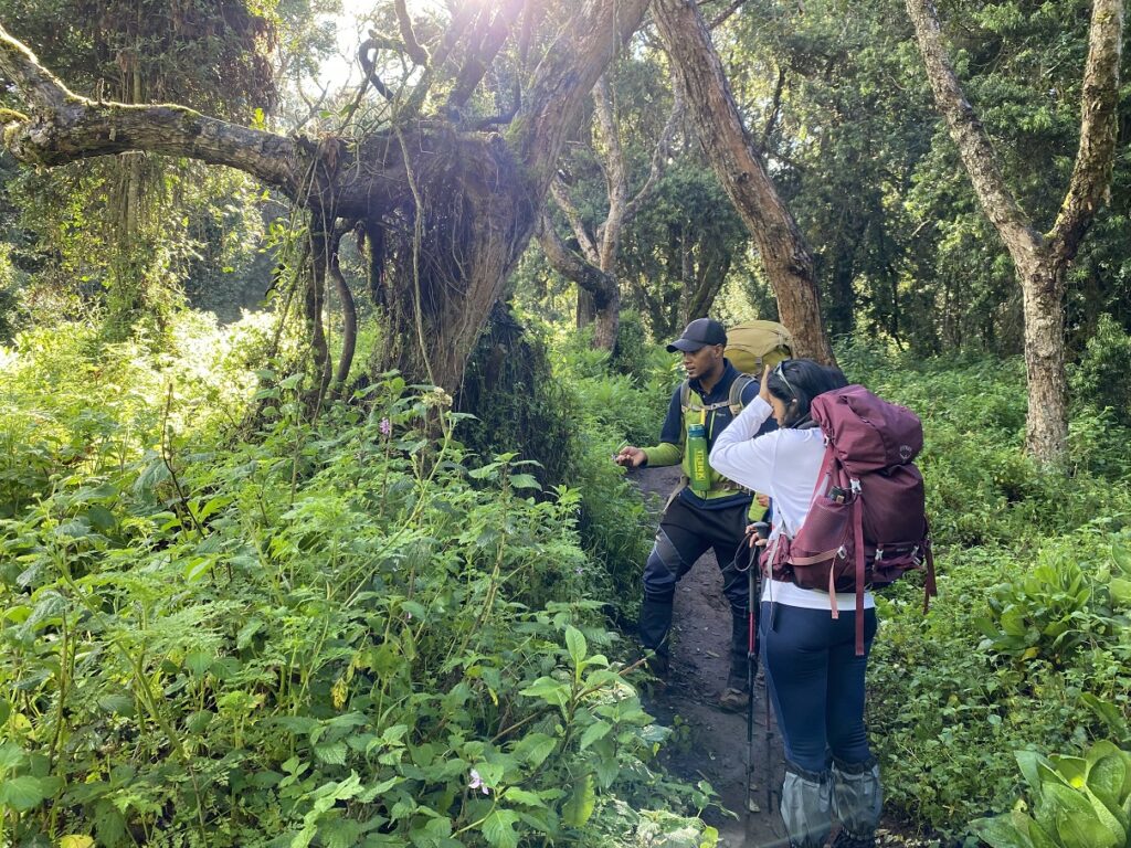 Kilimanjaro Experts Guide - Rajabu