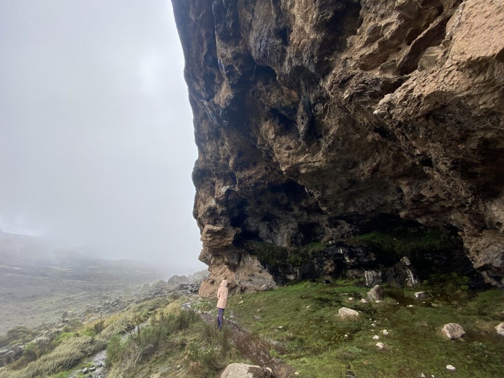 Kilimanjaro Alternative Lemosho Route - Hike to Moir Huts