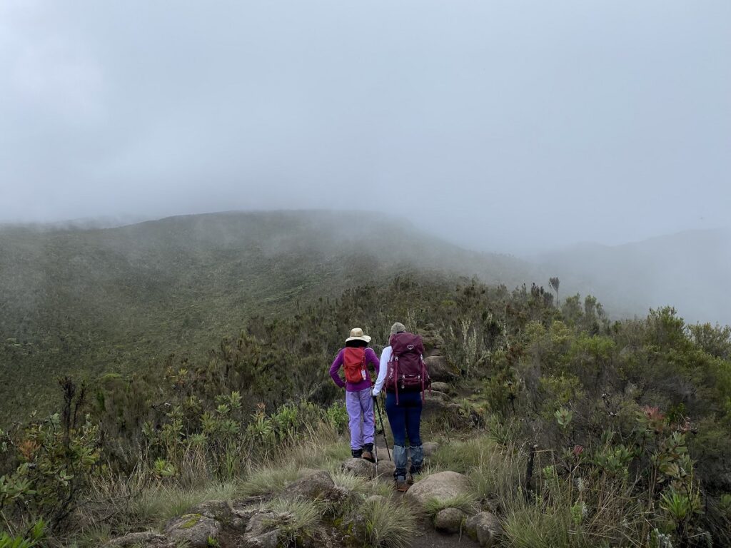 Kilimanjaro Trek Alternative Lemosho Route - Hike to Shira 1 Camp