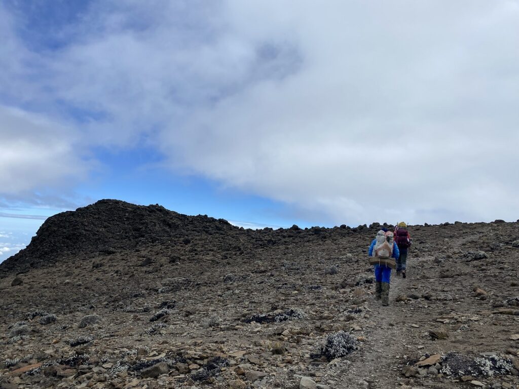 Alternative Lemosho Route - Moir Hut to Pofu Campsite