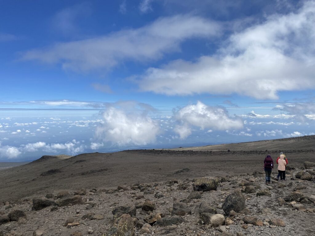 Alternative Lemosho Route - Moir Hut to Pofu Campsite