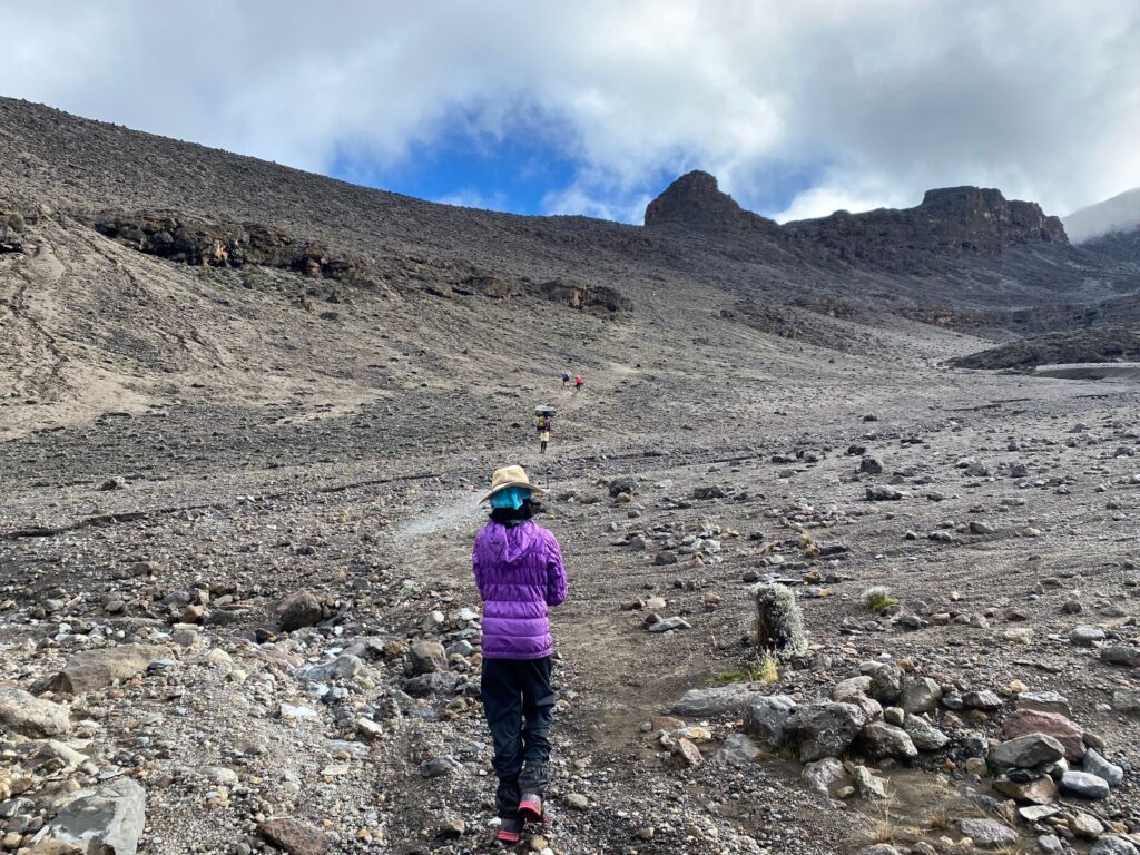 Kilimanjaro Alternative Lemosho Route - Moir Hut to 2nd Pofu Campsite