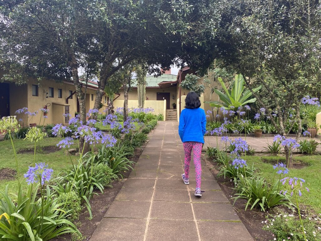 Ngorongoro Rhino Lodge