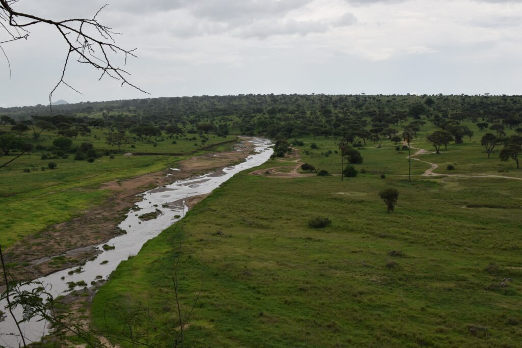 Tarangire River