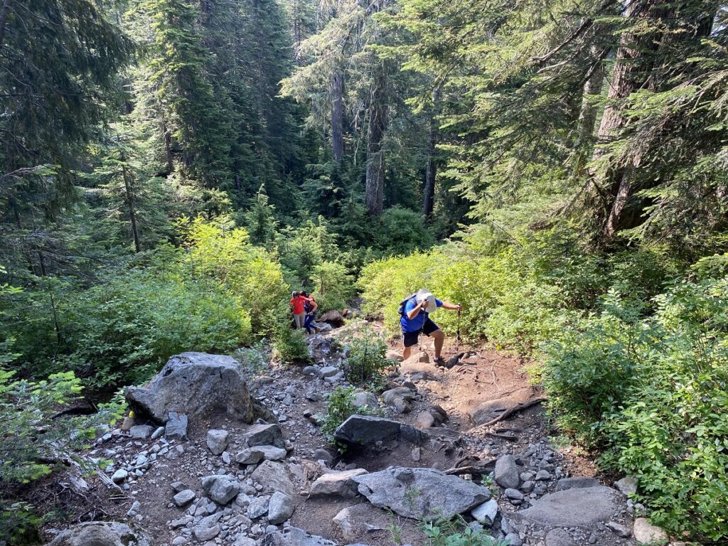 Training for Kilimanjaro