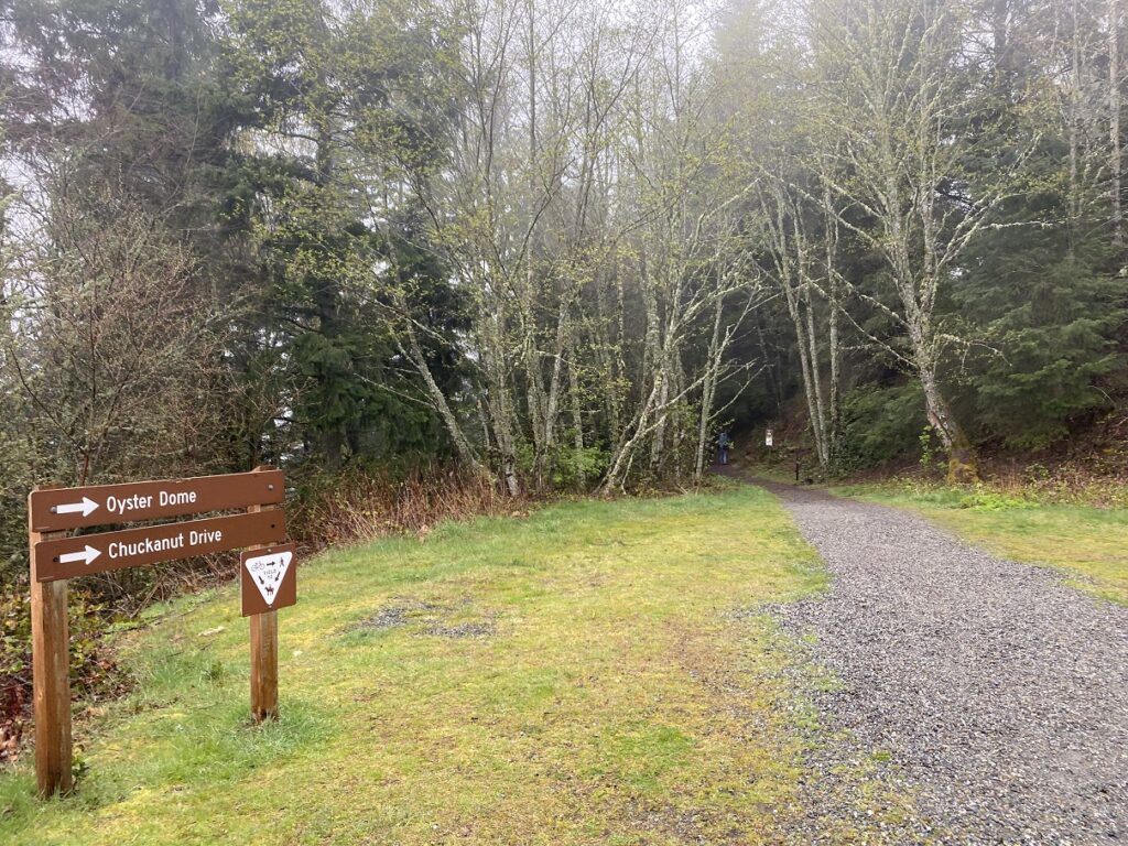 Oyster Dome Hike Trailhead Samish Overlook