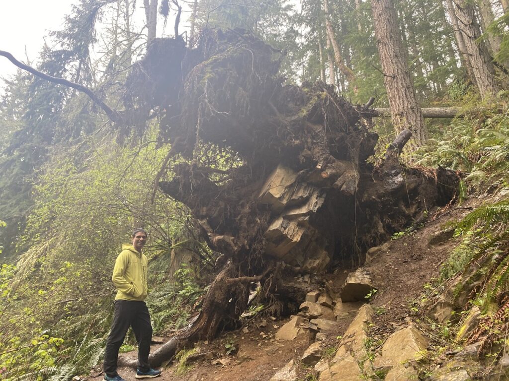 Oyster Dome Hike Washington