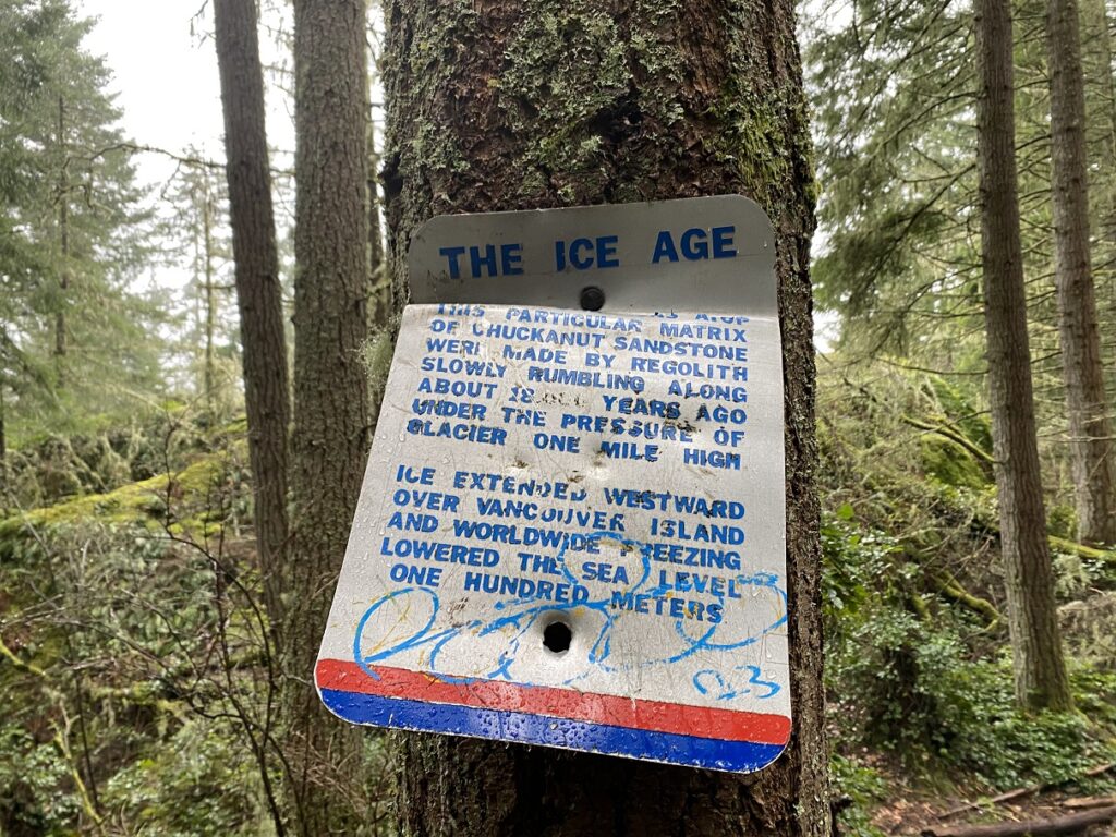 Oyster Dome Hike Washington