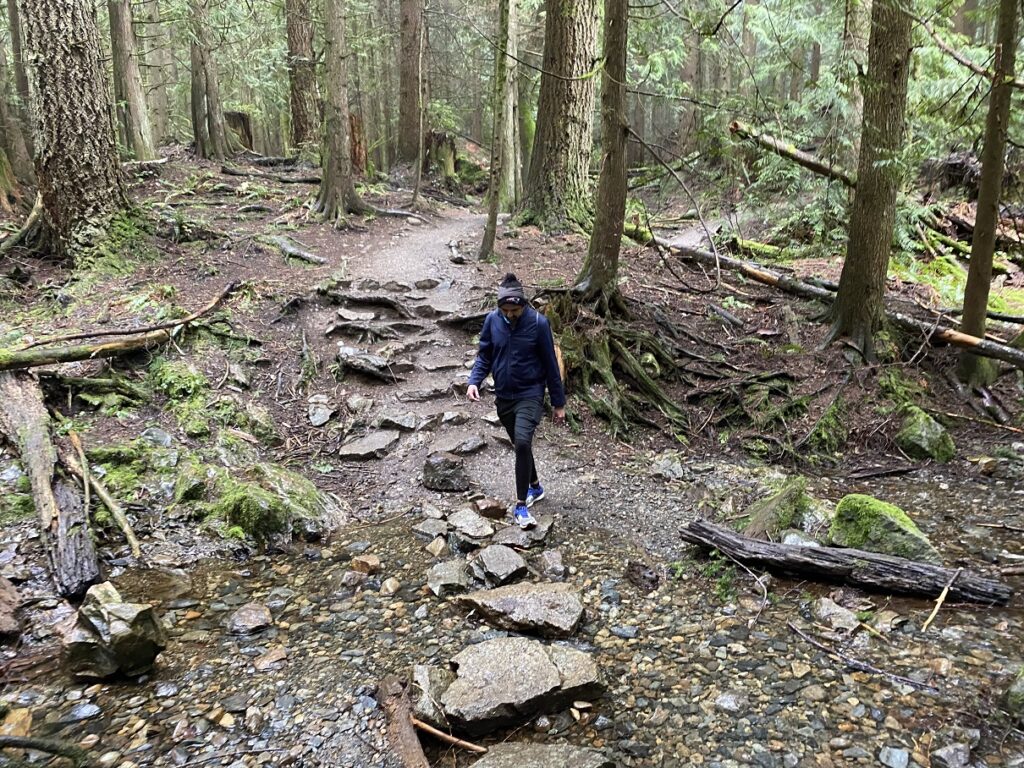 Oyster Dome Hike Washington
