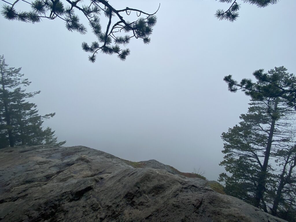 Oyster Dome Viewpoint  Washington
