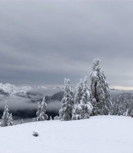 Brockton Point Backcountry Skiing