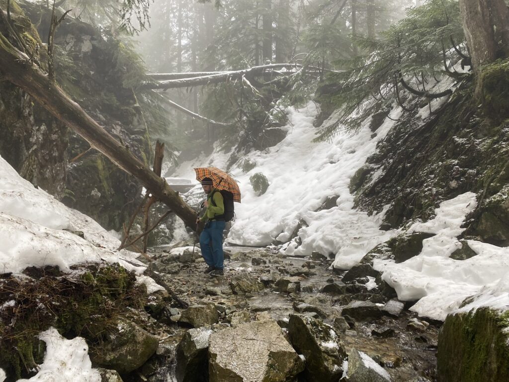 Eagle Mountain Hike from Buntzen Lake