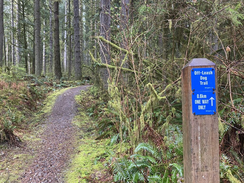 Eagle Mountain Hike Trailhead